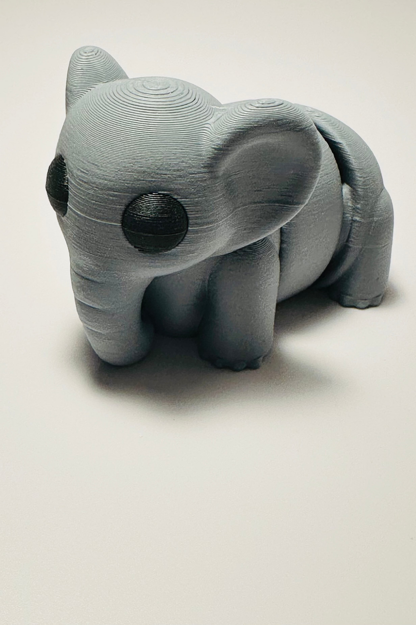 sea coastal customs elephant fidget