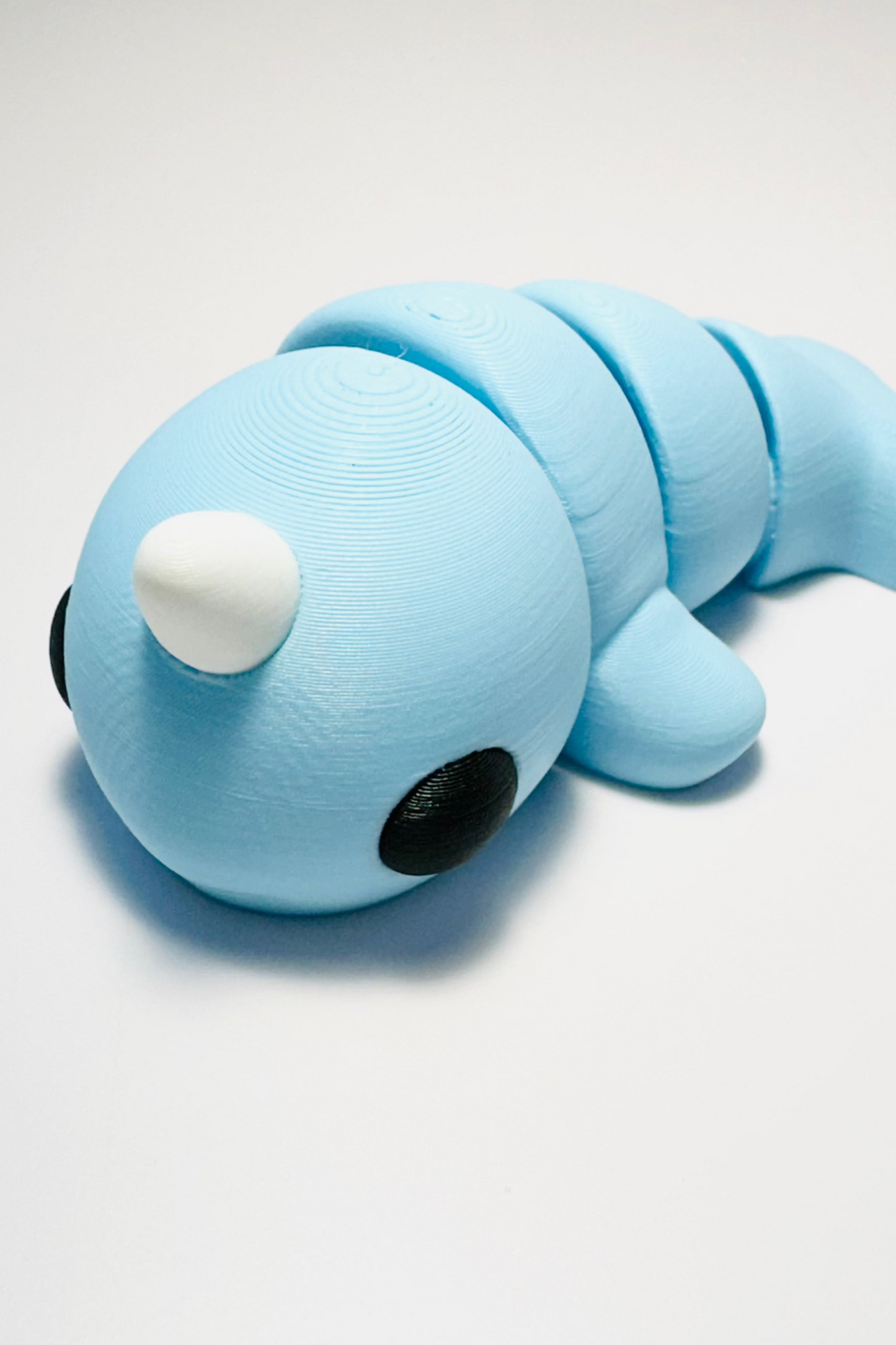 sea coastal customs narwhal fidget