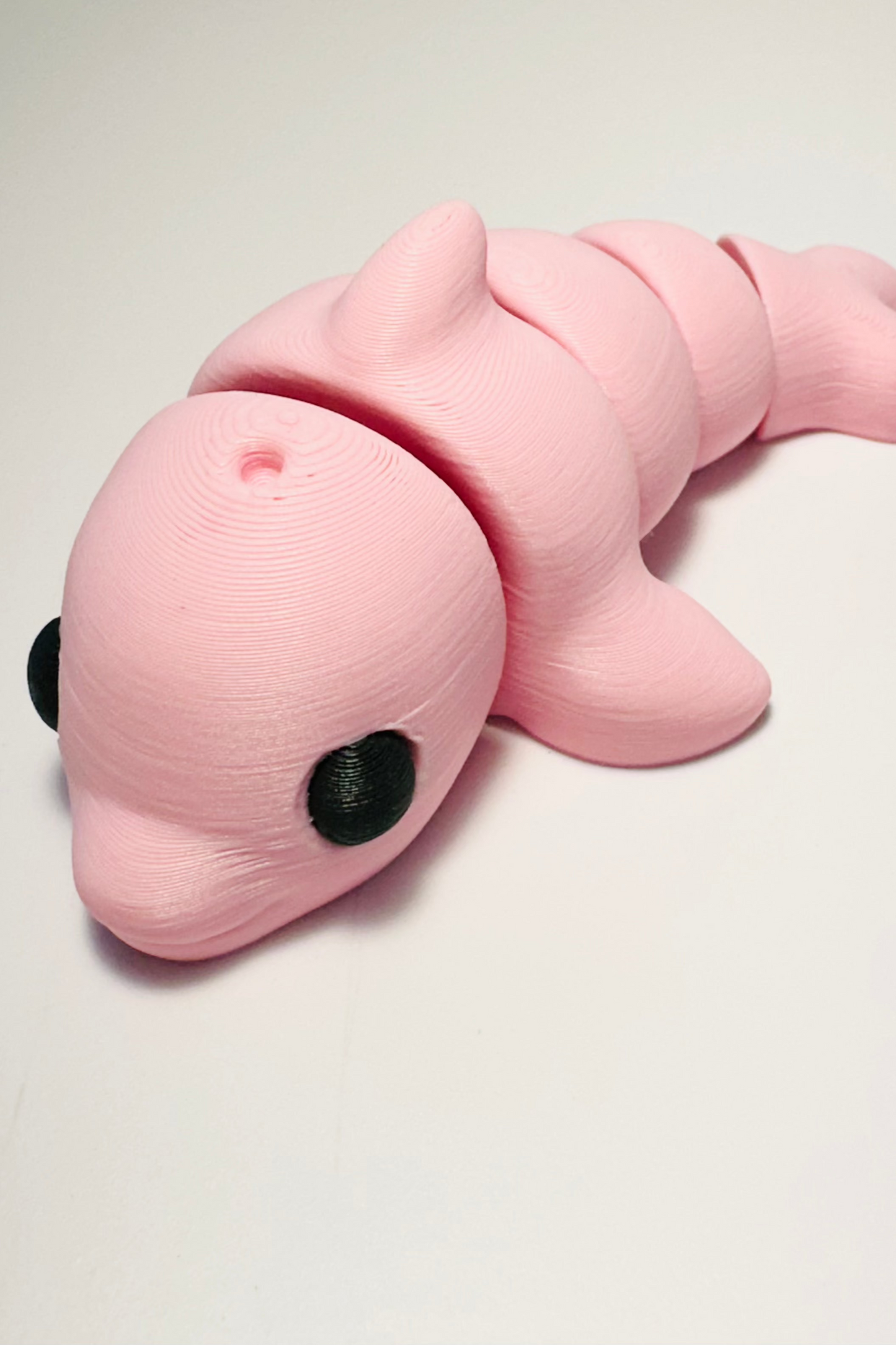 sea coastal customs pink dolphin fidget