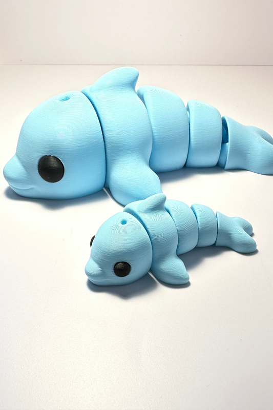 sea coastal customs dolphin fidgets