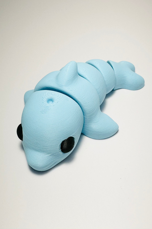 sea coastal customs dolphin fidgets