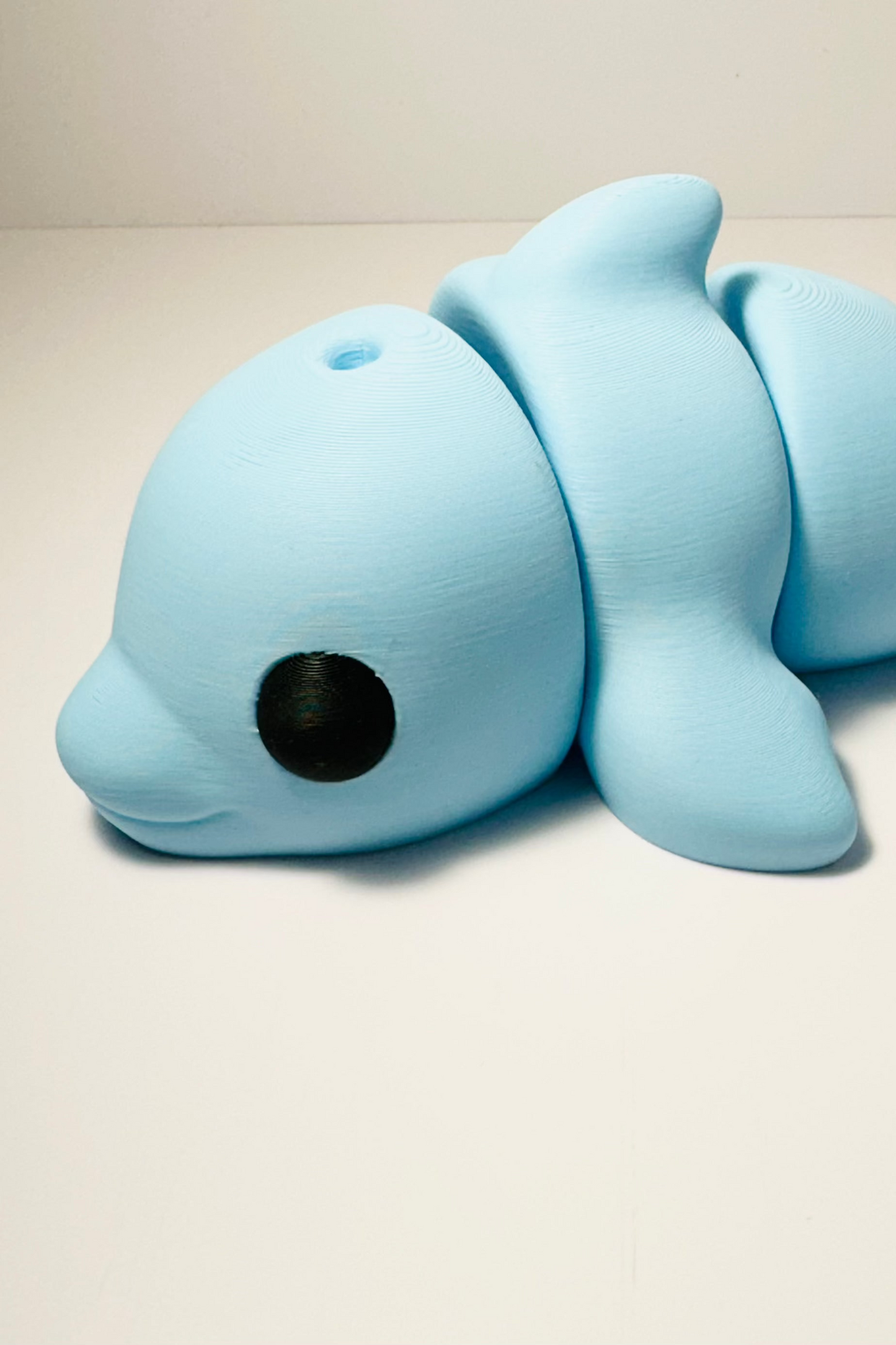 sea coastal customs dolphin fidgets