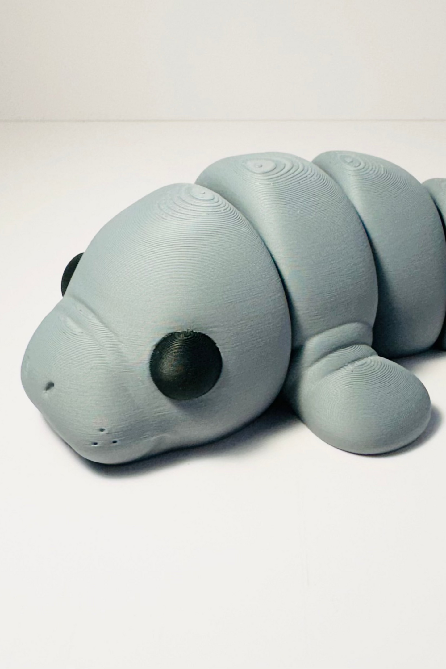 manatee figet grey sea coastal customs