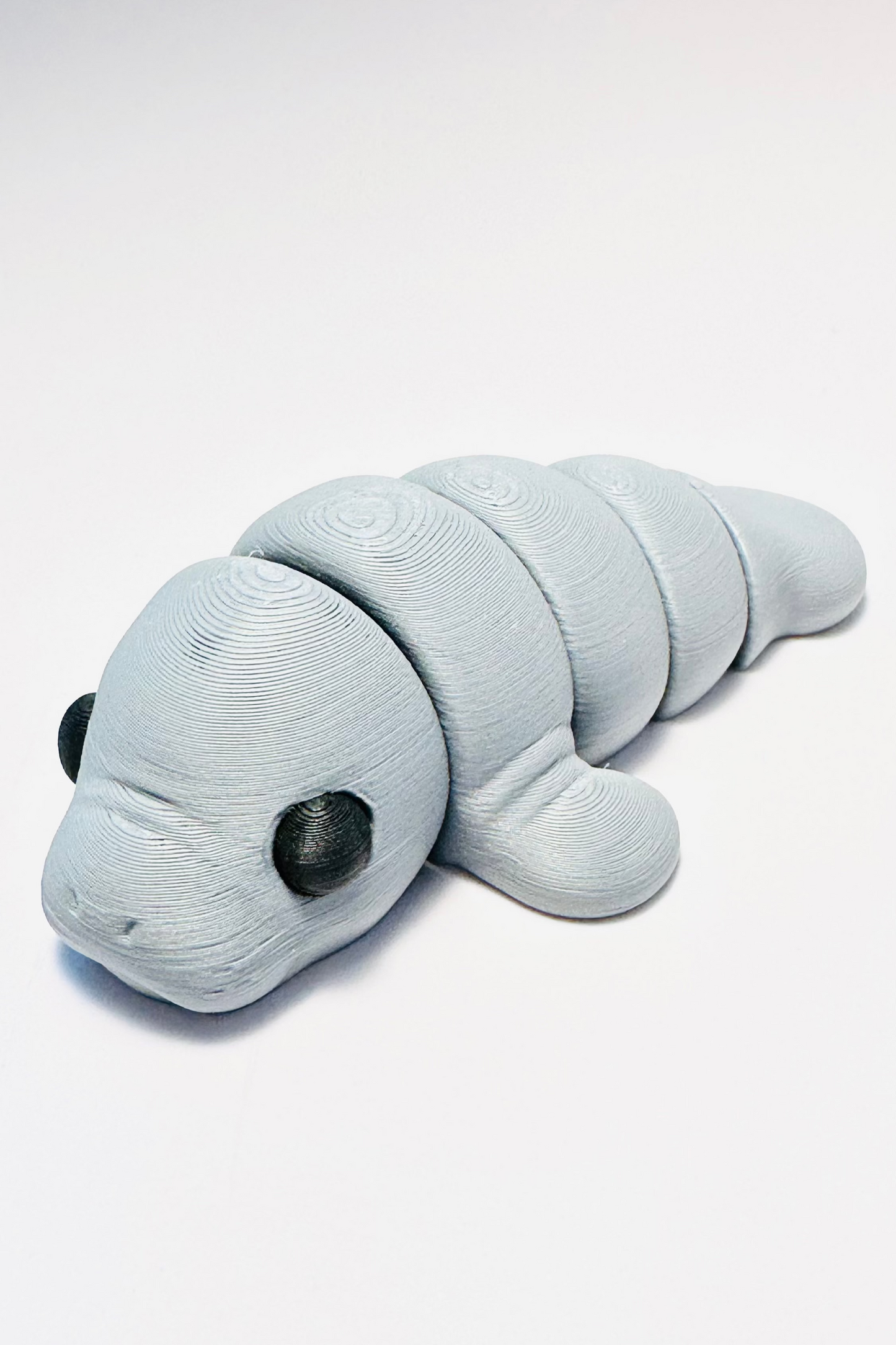 manatee figet grey sea coastal customs