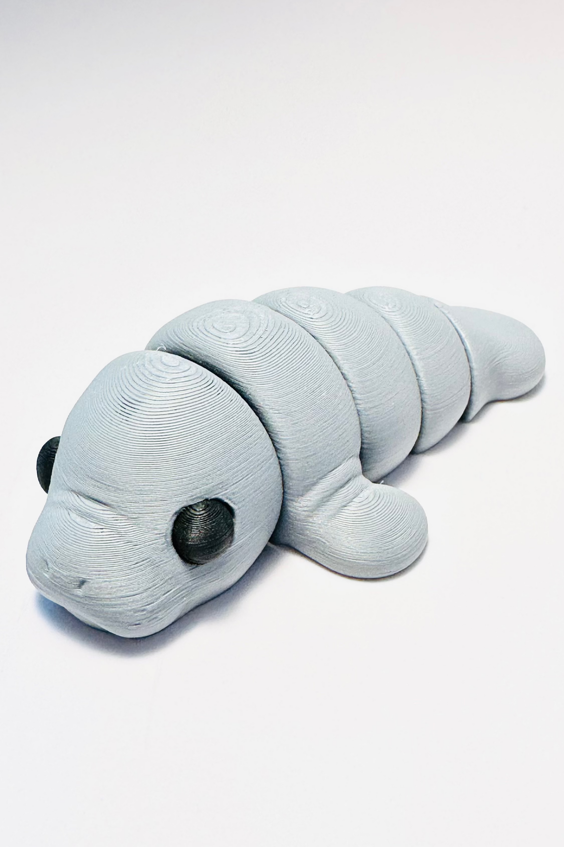 manatee figet grey sea coastal customs