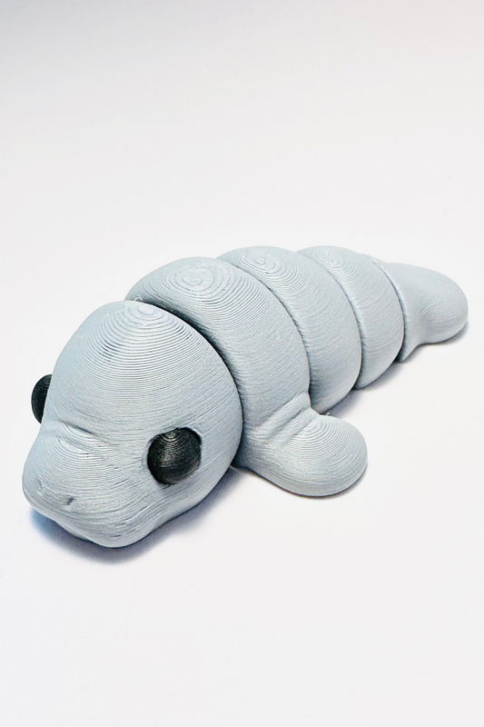 manatee figet grey sea coastal customs
