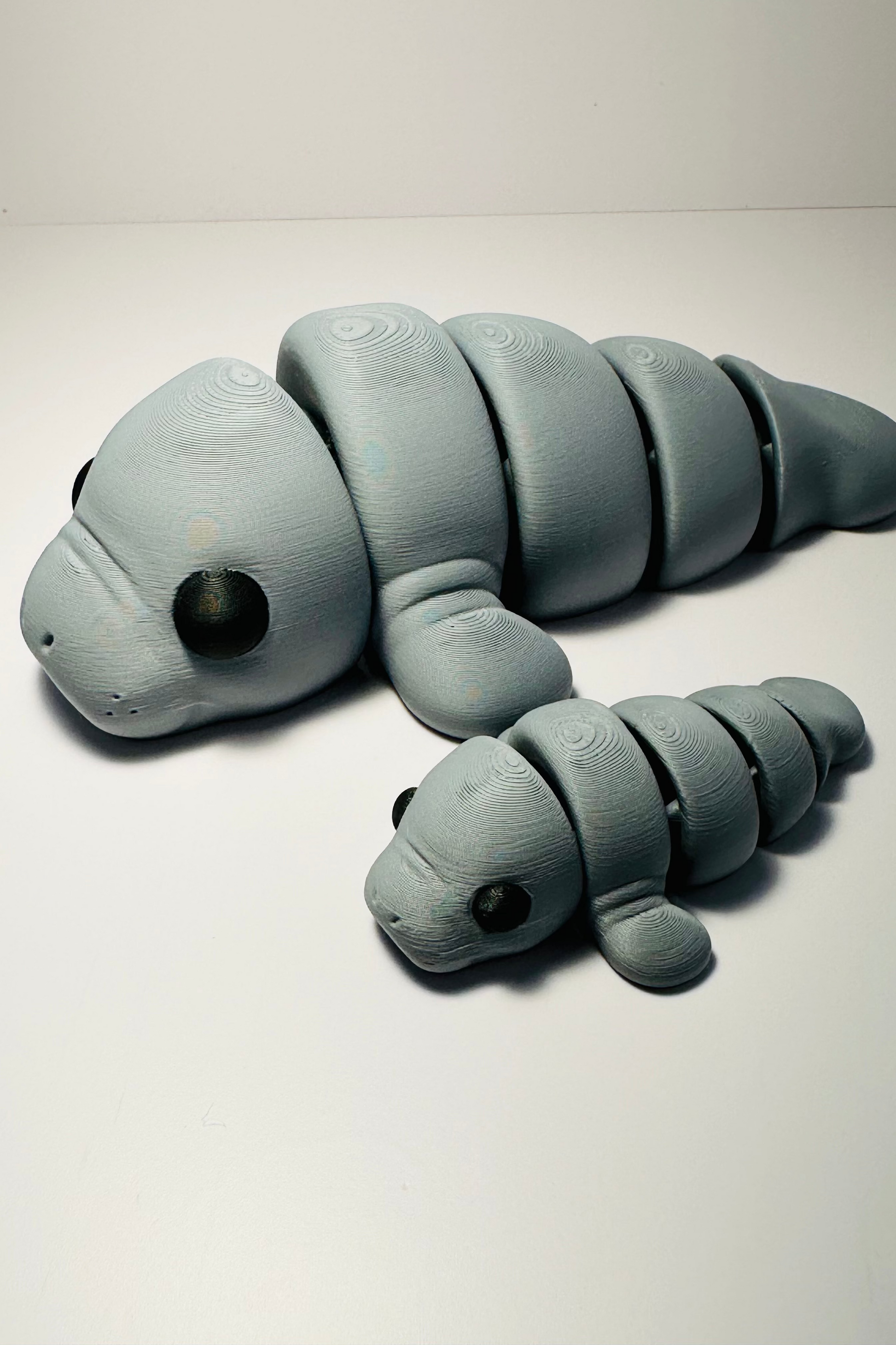 manatee figet grey sea coastal customs