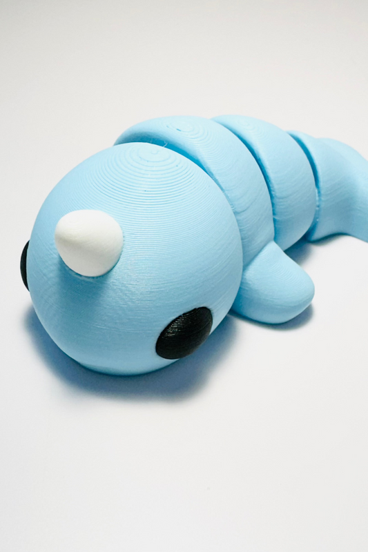 sea coastal customs narwhal fidget