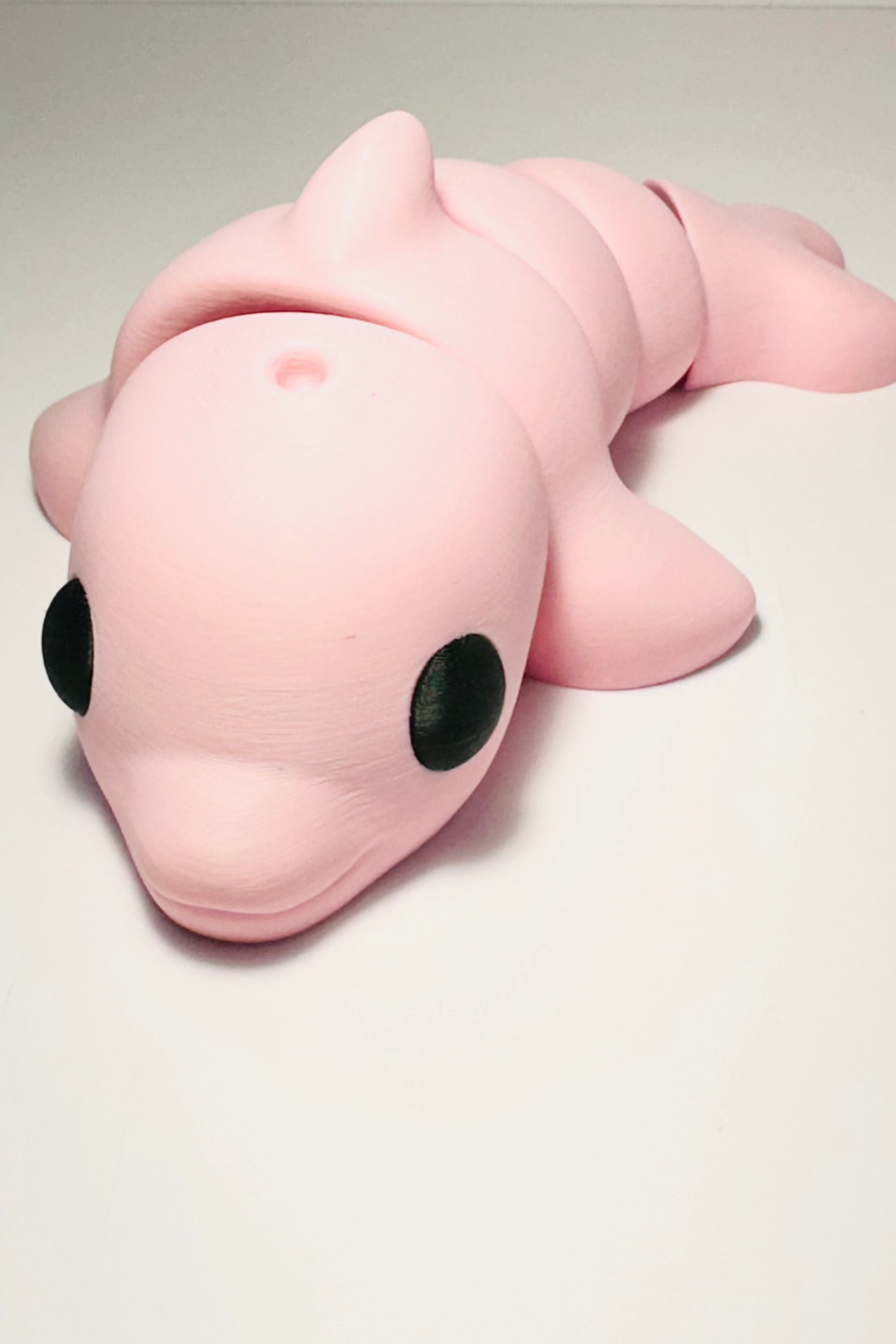 sea coastal customs pink dolphin