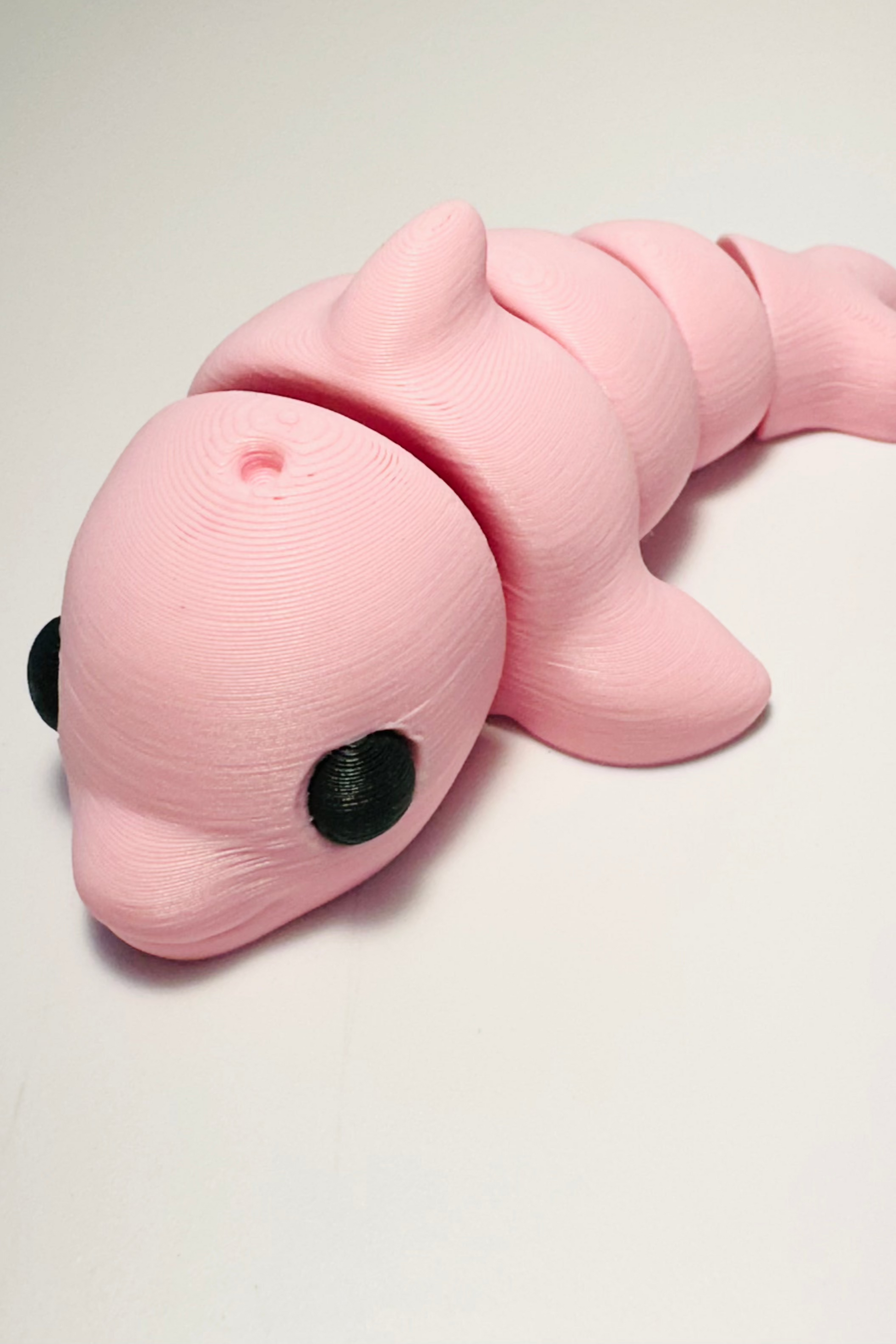 sea coastal customs pink dolphin fidget
