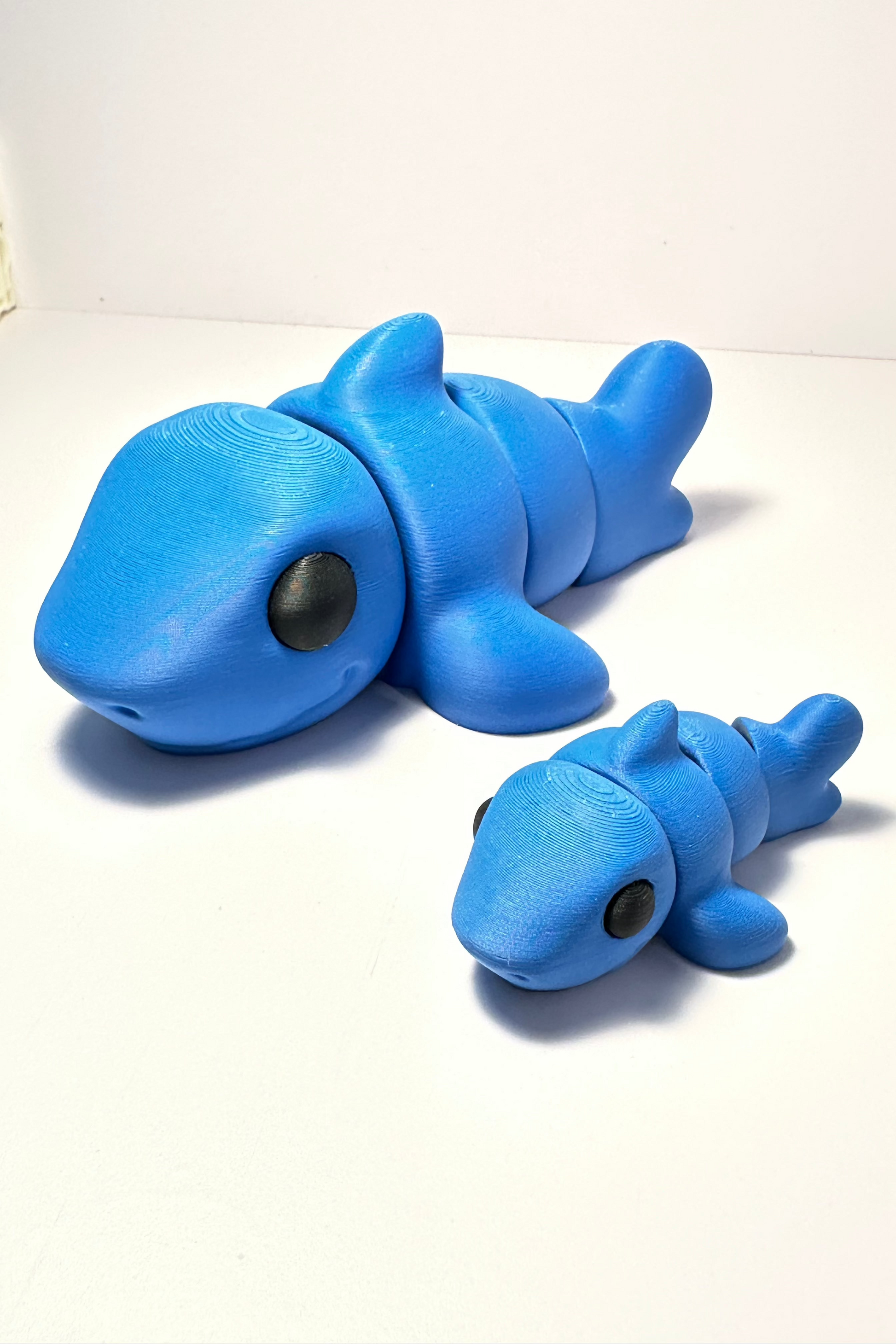 shark fidget blue sea coastal customs
