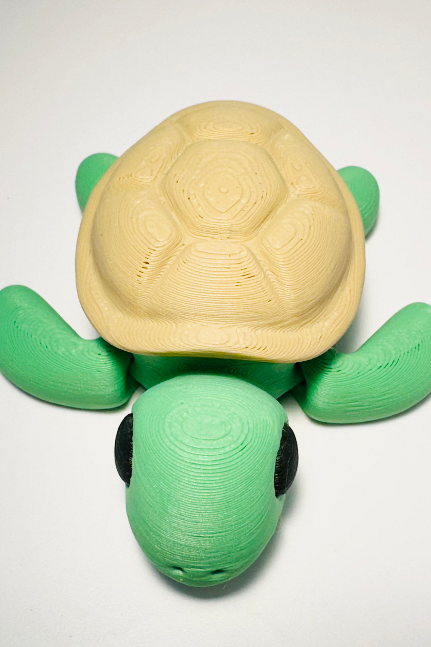 sea coastal customs green turtle fidget