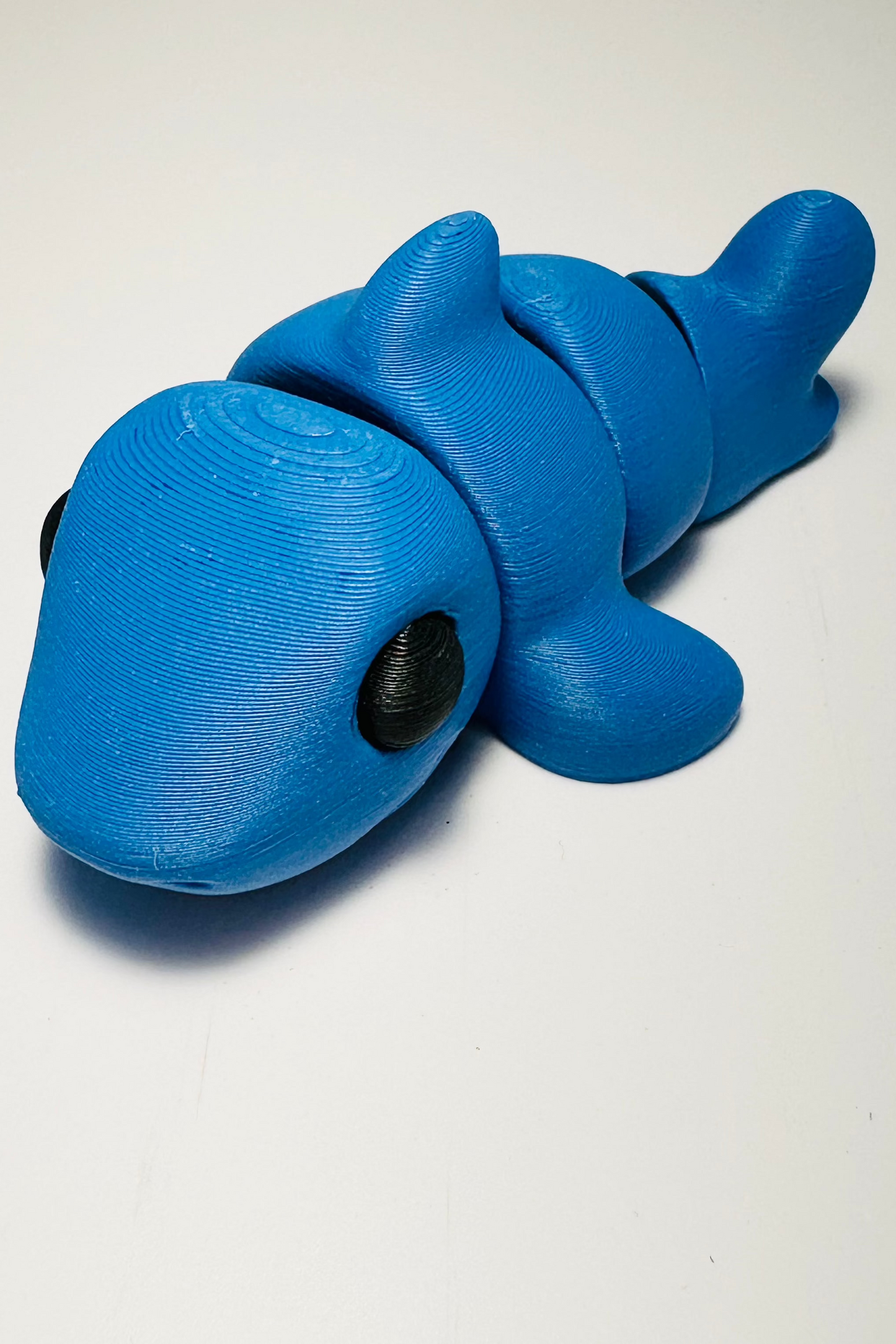 shark fidget blue sea coastal customs