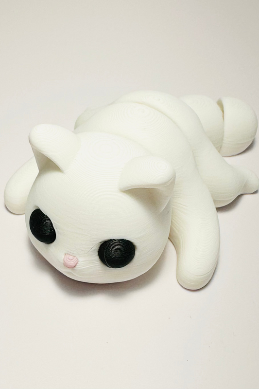 sea coastal customs white cat fidget